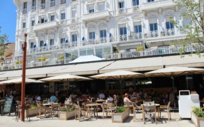 Pub Crawl Challenge: Can You Visit All of Nice’s Bars in One Night?